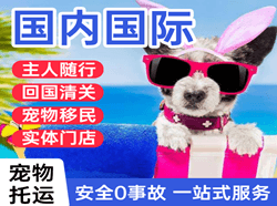 鸡西机场托运国际宠物托运 【国